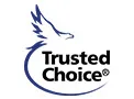 Trusted choice logo